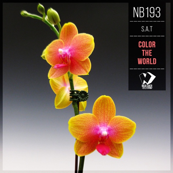 Color the World - Single