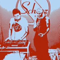 Selecta (Instrumental) - Single - Duhan