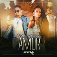 Meu Grande Amor - Single - Banda Segmentos da Paixão