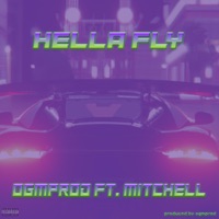 Hella Fly (feat. Mitchell) - Single - Ogmprod