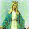 Saka La Bolsita cover art