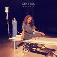 Ya Sabır - Single - Ceybesk