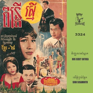 វិញ្ញាណអណ្តែត & លើភ្នំទ្រនំក្អែក - Single