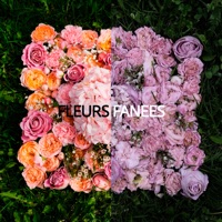 Fleurs fanees - Single - Izzamuzzic