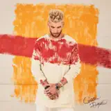 Colton Dixon - Giants