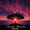Nuvole Bianche (Piano & Cello Version) - Elizabeth Rossi
