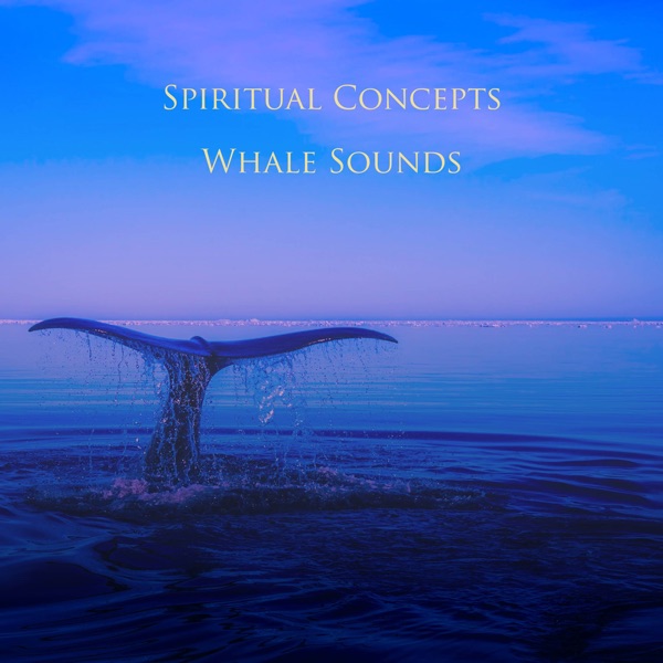 Whale Sounds