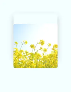 Mordecai: песни, клипы, биография, даты выступлений и многое другое.