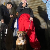 Options (feat. Vikeacet) - Single - Sariah