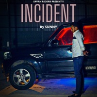 INCIDENT (feat. SUNNYY) - Single - Aadu