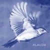 Alauda