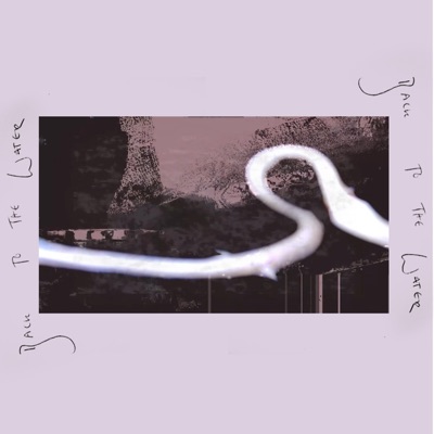 Back to the Water - Single