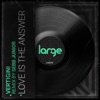 Love Is the Answer (Sebb Junior Remix) cover art