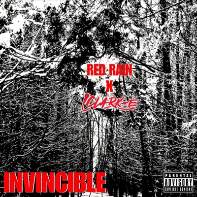 Invincible (feat. Red Rain) - Single