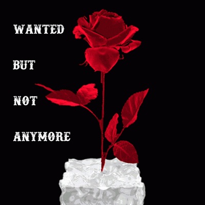 Wanted But Not Anymore - Single