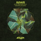 Elevate (Miguel Migs Salty Space Dub) [feat. Nathan Thomas] artwork