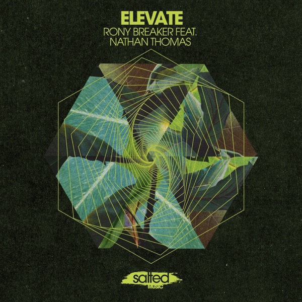 Elevate - Single