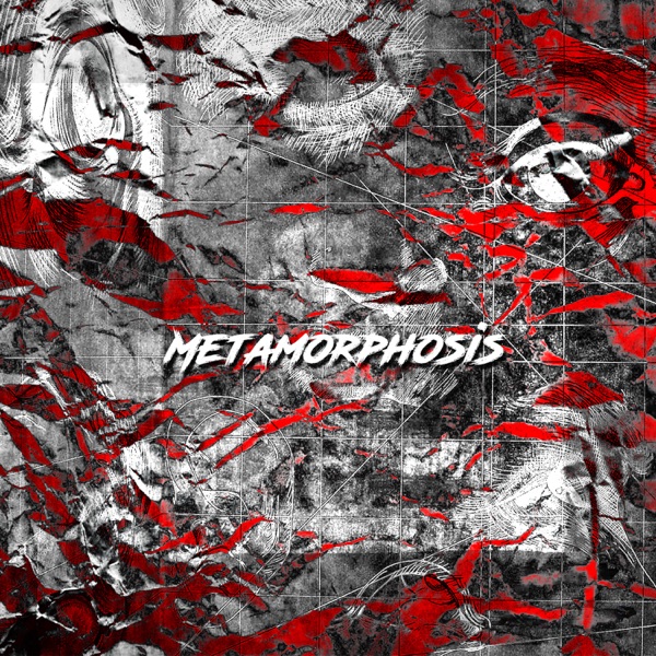 Metamorphosis (feat. TEMAHATE) - Single