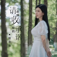 请赶快收回你的承诺 - Single - Ni Er Ping