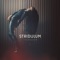 Paradigm (feat. Ausen) - STRIDULUM lyrics