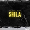 Shila (feat. Teeydor) - Single