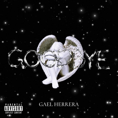 GoodBye - Single