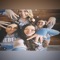 Servin Geeks (feat. Santana6locc & Ltfdevo) - 392Babymoney lyrics