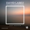 Siray Beach (feat. Daniel Hooglandt) - Single