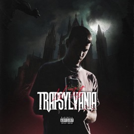 Ragadozó (feat. Fendo, Kisé & Kondor) [Remix] Lil Tib