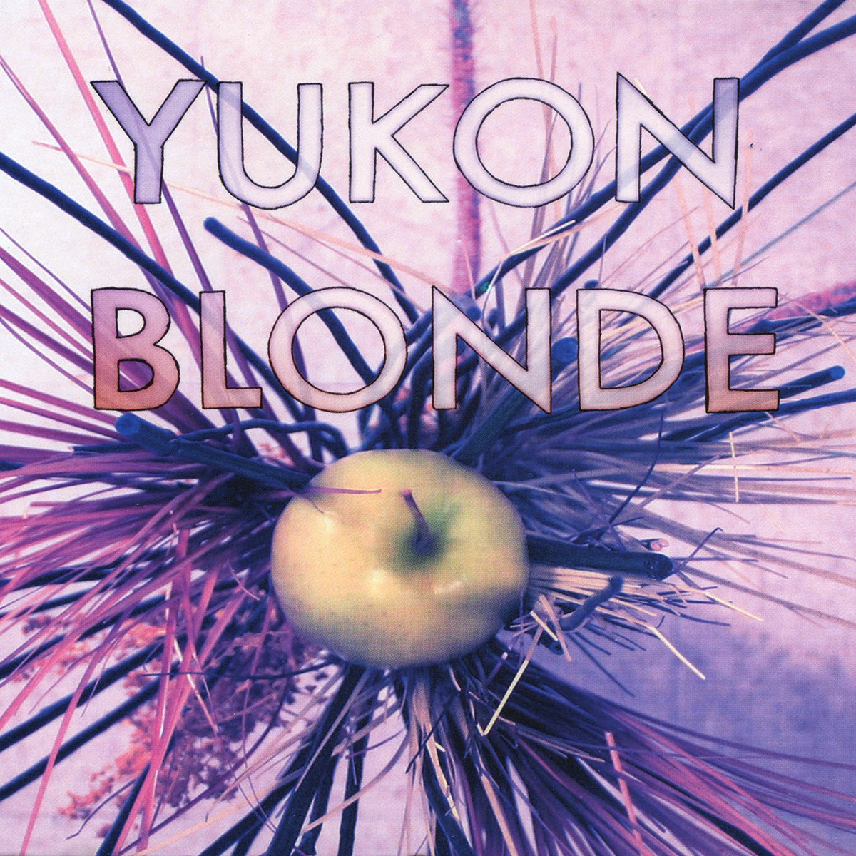 Альбом Yukon книга. Endless blonde albums.