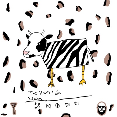 The Rain Falls - Single