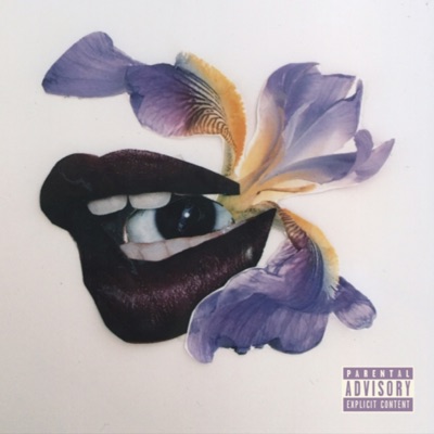 The Orchid Xperiment - EP