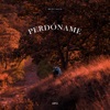 Perdóname - Single