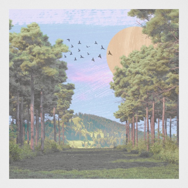 Forest - EP