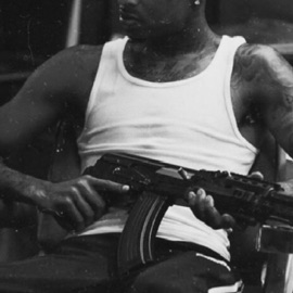 New Draco KILLER MANTIS