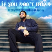 If You Dont Mind (feat. Lamar Kelsey) [NIGEL LOWIS REMIX] artwork