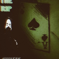 Distortion - Single - Mr. Echo