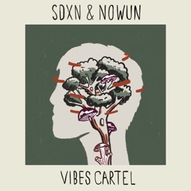 Vibes Cartel SDXN & Nowun