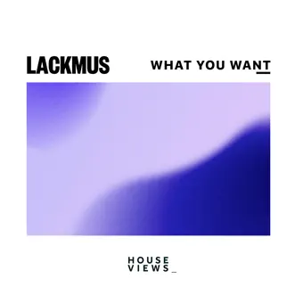 What You Want - Single by Lackmus album reviews, ratings, credits