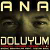 Ana Doluyum (Turkish Lounge Series, Vol.2) - Erdinç Şenyaylar & Tezcan Erol