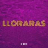 Lloraras artwork