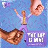 The Boy Is Mine (feat. Rosalie) [Funkerman Remix] artwork