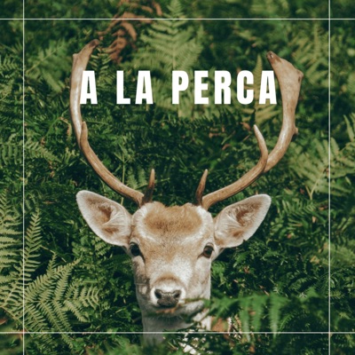 Dj Trin Stapel - A la Perca
