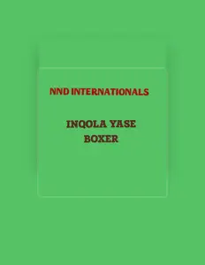 NND Internationalを聴いたり、ミュージックビデオを鑑賞したり、経歴やツアー日程などを確認したりしましょう！