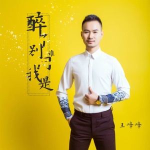 醉了别问我是谁 - Single