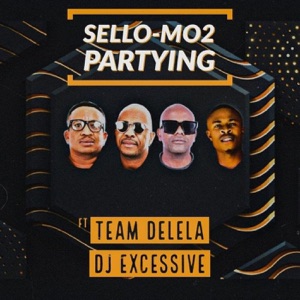 Partying (feat. Team Delela & dj excessive)
