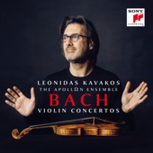 Violin Concerto in E Major, BWV 1042: Violin Concerto in E Major, BWV 1042/II. Adagio artwork