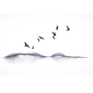And Then the Quiet - Single