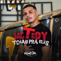 Tchau Pra Eles - Single - Mc Tedy