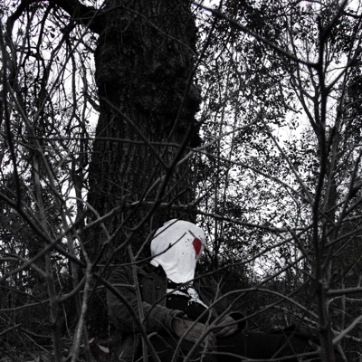 REVENGE CAPSULE EP - EP